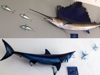 baitfish action scene replicas baitfish action scene mounts