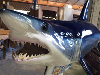 Shark Mounts Shark Relicas