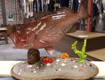custom mounted fish replicas Custom creations, custom mounted fishmounts