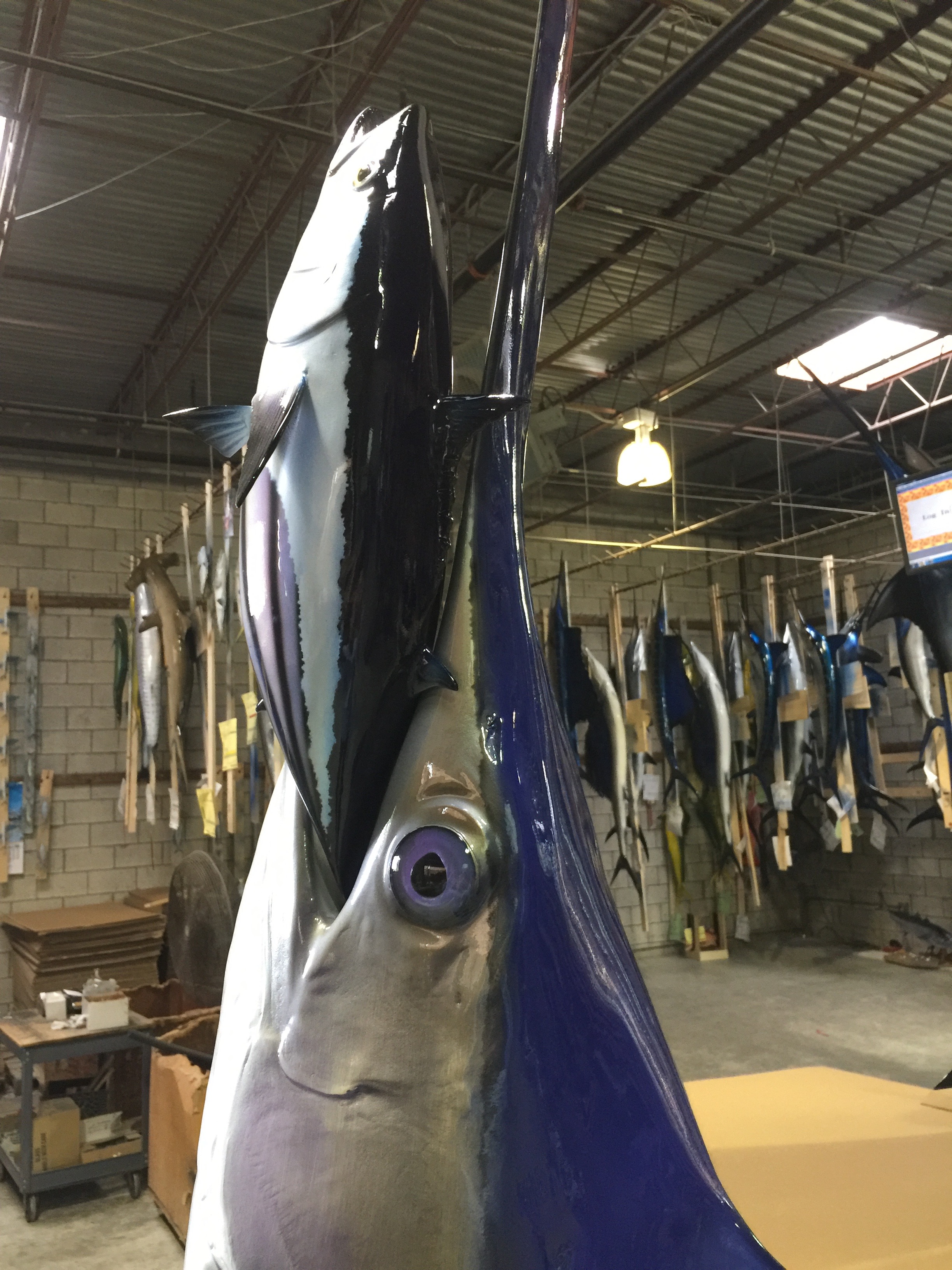 vertical swordfish replica Swordfish mount