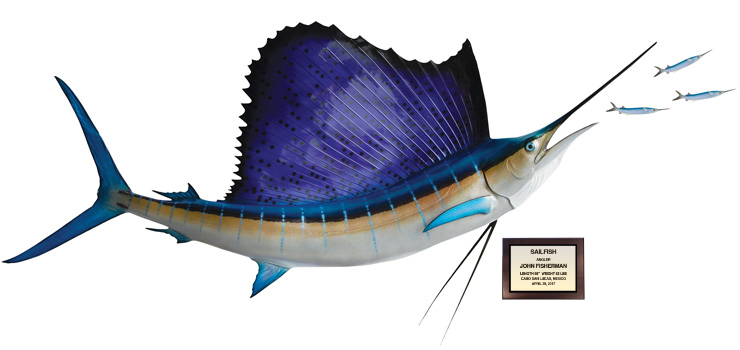 Click to zoom Atlantic Sailfish Mount