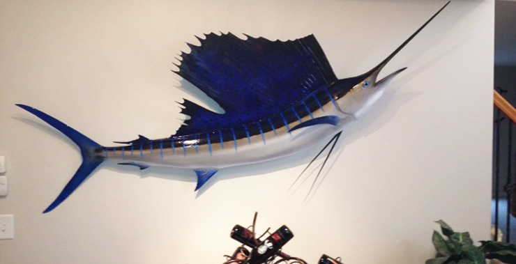 Pacific Sailfish wallmount Pacific Sailfish reproduction wallmount