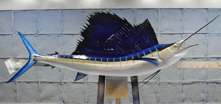 Sailfish pacific replica Sailfish Pacific