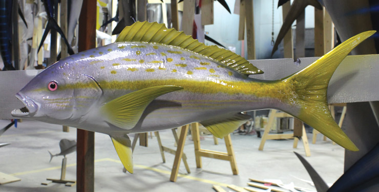 Yellowtail snapper replica on wood plaque Yellowtail snapper mount on wood plaque